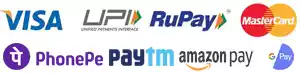 Payment UPI VISA Mastecard Phonepay